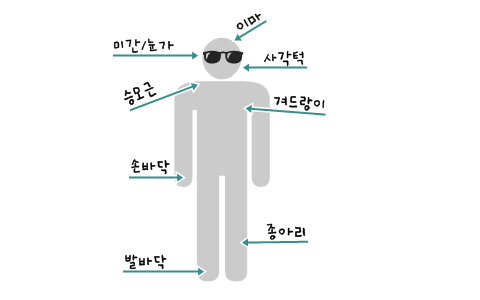 적용부위.png