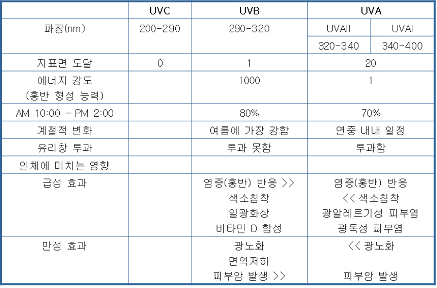 자외선 도표-cnp.jpg