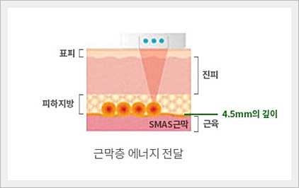 성은뷰티 이미지