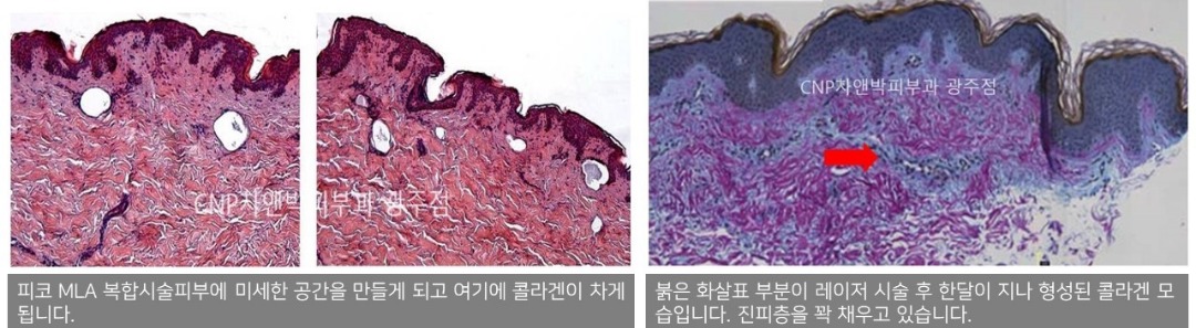 슬라이드2.JPG