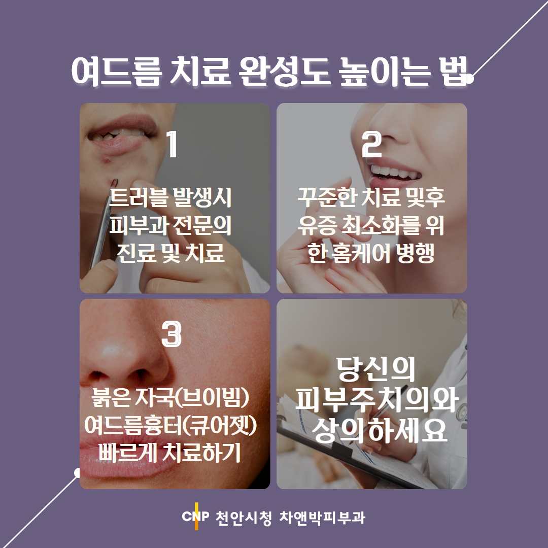 2403_브이빔프로그램_천안시청.png