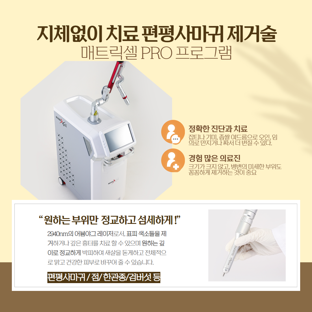 2405_평택칼럼_편평사마귀.png