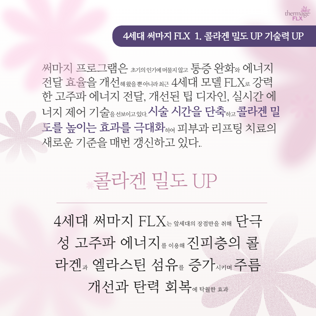 2307_도곡양재_써마지FLX 2.png