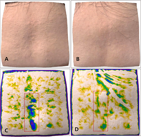 리투오 논문002 그림001-cnp.jpg