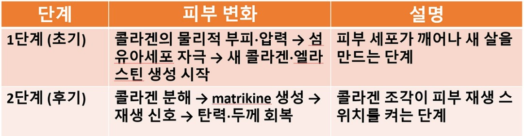 레티젠 작용 기전-cnp.jpg