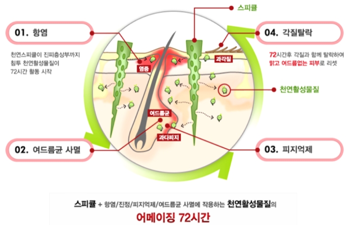 스피큘 효과 체크 & 리르 스피큘 스팟 세럼 후기 (모공 잡티 케어) 2