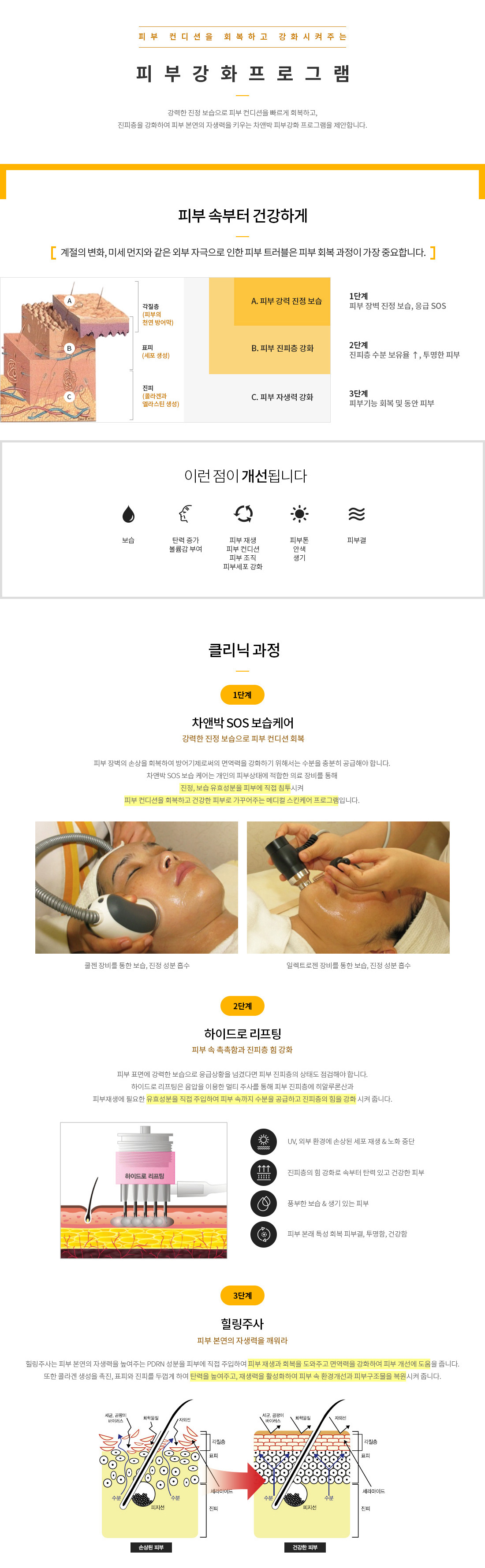 피부강화 프로그램