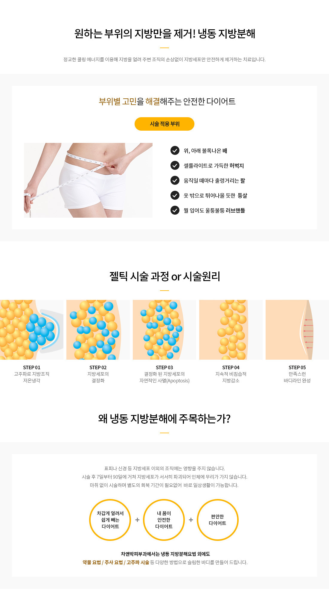 냉동지방분해