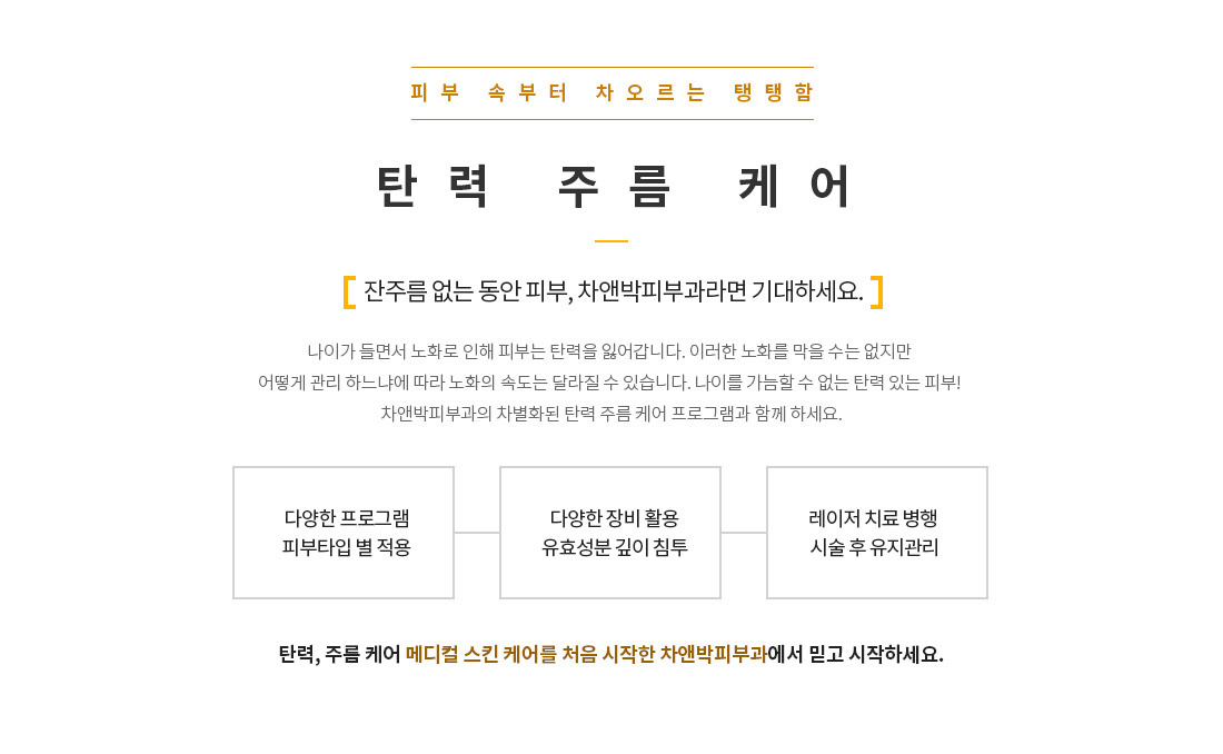 탄력 주름 케어