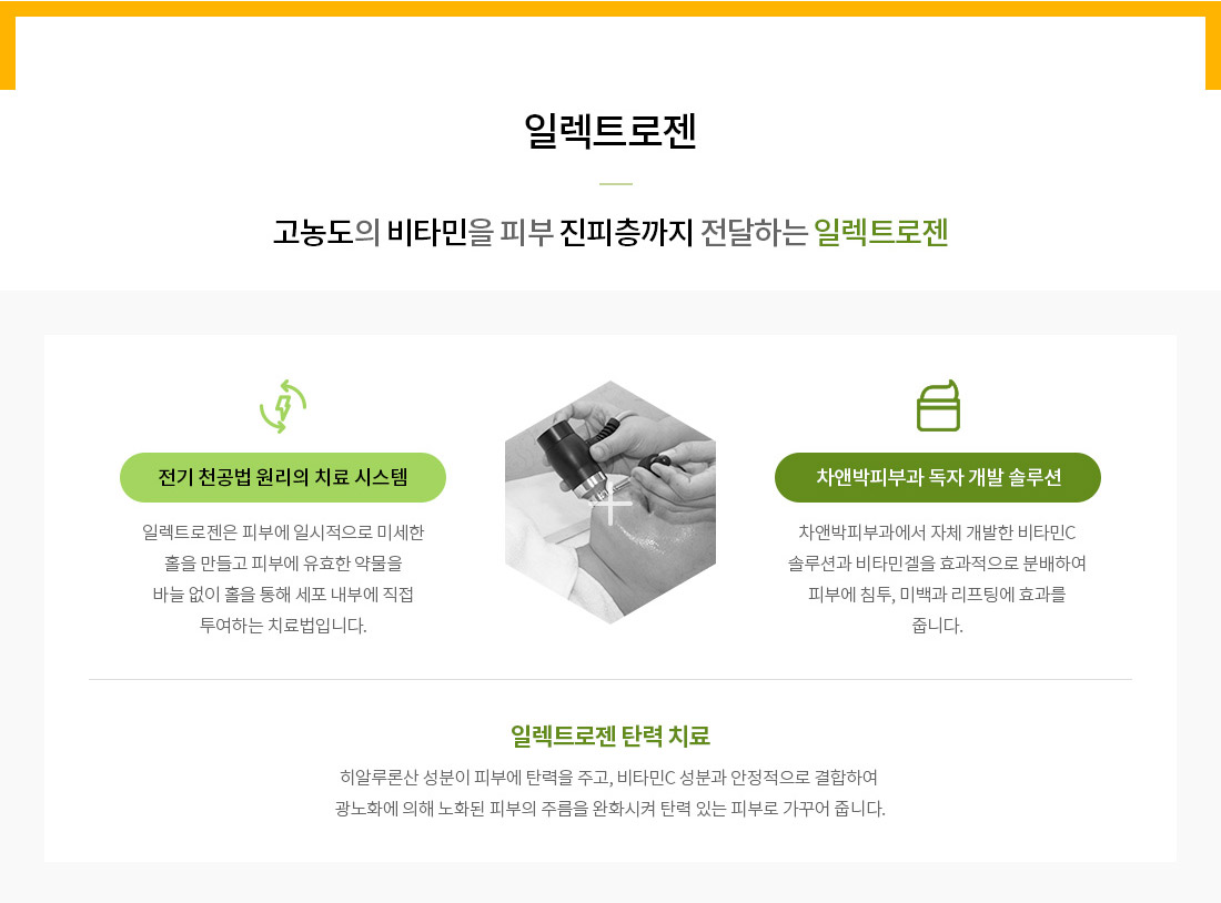 탄력 주름 케어-일렉트로젠